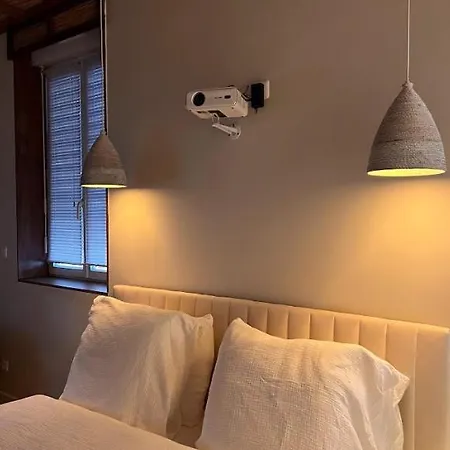Loft Balneo Apartment Gaillac