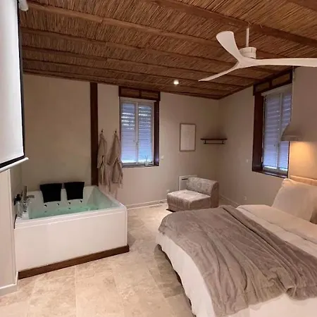 Loft Balneo Gaillac