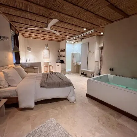 Apartment Loft Balneo Gaillac