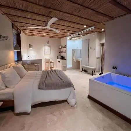 Apartment Loft Balneo Gaillac
